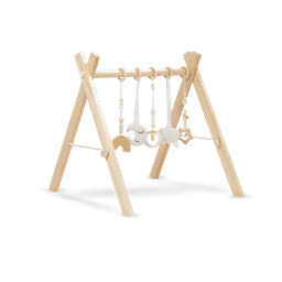 Baby Gym