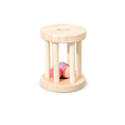 Baby Rattle