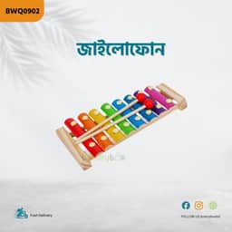 Xylophone